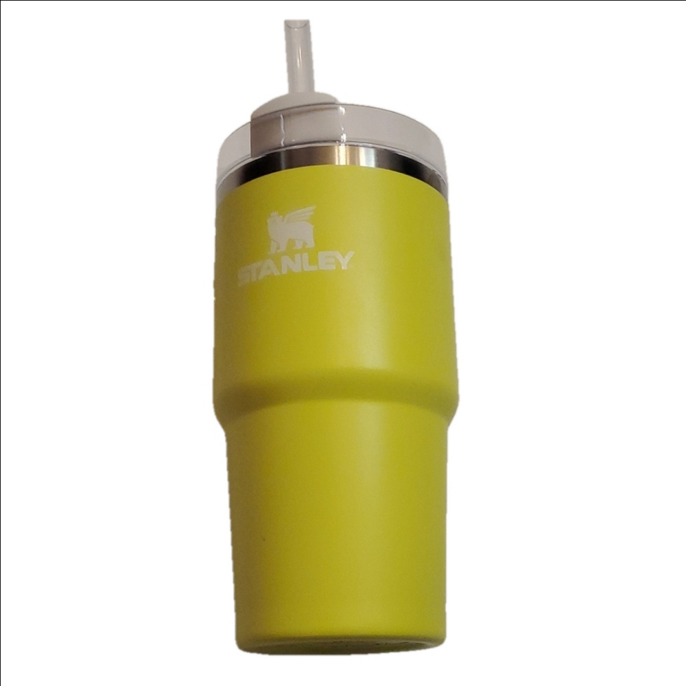 Stanley 20oz Stainless Steel  Tumbler